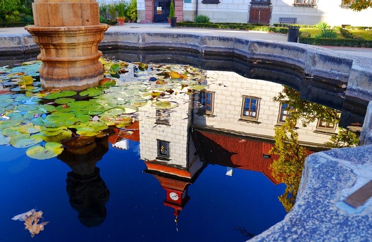 DSC_8559.JPG